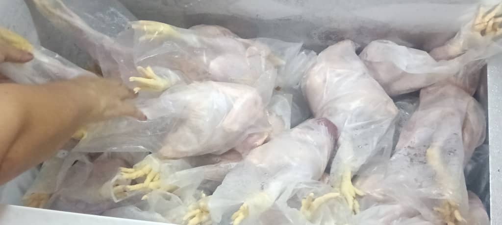 Ayam Broiler